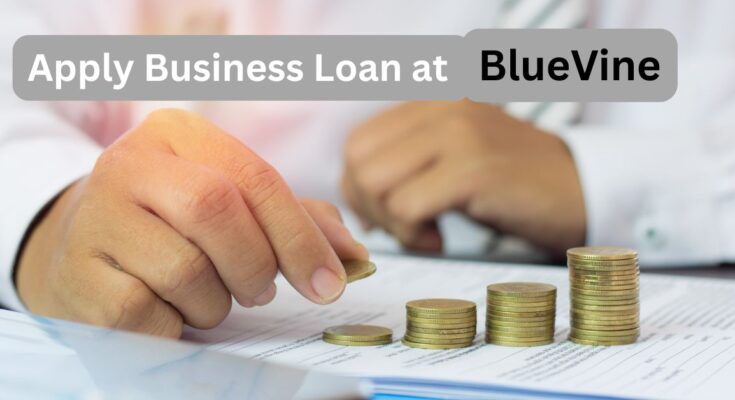 Apply for a Business Loan at BlueVine